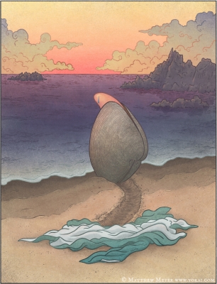 Хамагури-нёбо. Иллюстрация Мэтью Мэйера