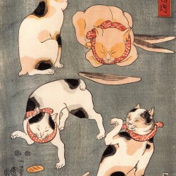 Кошки. Автор рисунка Утагава Куниёси