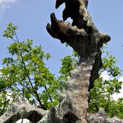 Вавельский дракон. Скульптура в Кракове