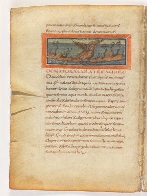 Орёл, выныривающий из воды. Рукопись Городской библиотеки Берна (Cod. 318, fol.10v)